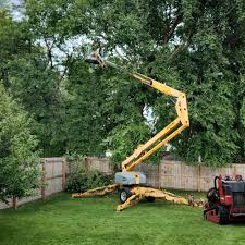 Best Grass Overseeding  in Salem Heights, OH