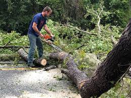 Best Aeration Services  in Salem Heights, OH